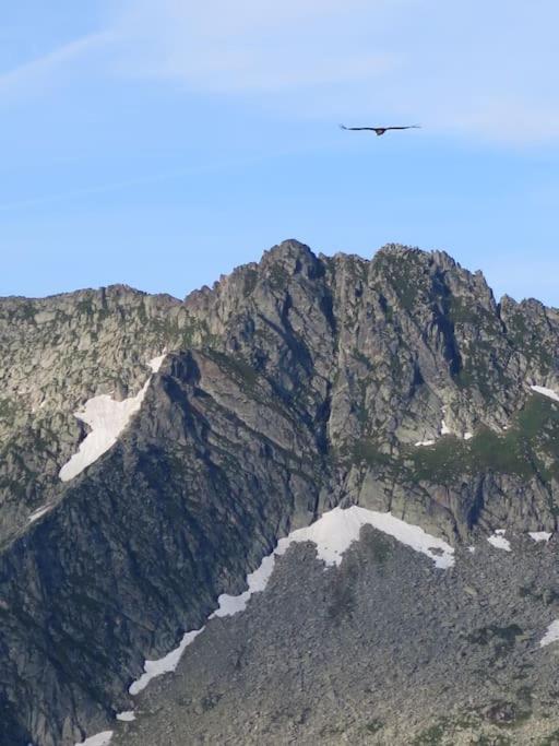 "Le Desman" Confortable T2 A La Montagne Face Aux Thermes Rando, Cure Aulus-les-Bains Exterior foto