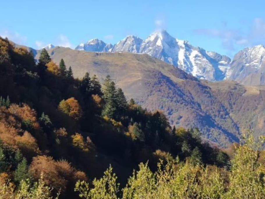 "Le Desman" Confortable T2 A La Montagne Face Aux Thermes Rando, Cure Aulus-les-Bains Exterior foto